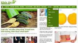 Một website vi phạm bị xử phạt