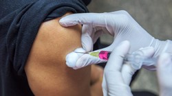 Khi bị động vật (chó, mèo, dơi,…) cắn, nên nhanh chóng đi chích ngừa để ngăn ngừa các triệu chứng cũng như tử vong (Ảnh: Medicalnewstoday)