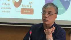 TS Trần Đình Thiên chia sẻ các cơ hội lớn cho Việt Nam hậu Covid-19 (Ảnh: Huy Bình)