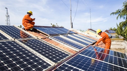 Ảnh minh họa (Nguồn: Internet)