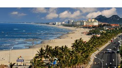 Ảnh minh họa (Nguồn: ipc.danang.gov.vn)