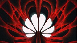 Huawei bị cáo buộc đánh cắp thông tin cá nhân (Ảnh: The Verge)