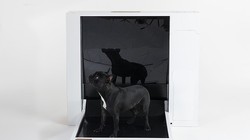 Inubox - nhà vệ sinh thông minh dành cho chó (Ảnh: Daily Mail)