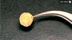 Đồng xu vàng "siêu cứng" được sản xuất bằng quy trình mới (Ảnh: New Atlas)