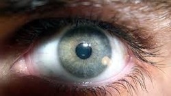 10 bộ phận trên cơ thể người có thể biến mất trong tương lai (Ảnh: Hack Spirit)