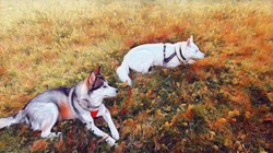 Chó và người đã là bạn của nhau ít nhất 23.000 năm (Ảnh: ArsTechnica)