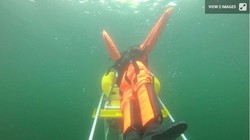 Robot cứ những người đuối nước (Ảnh: New Atlas)