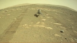 Trực thăng của NASA hạ cánh thành công trên bề mặt Sao Hỏa (Ảnh: Science Alert)