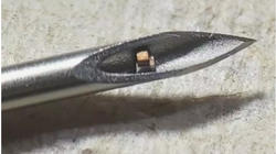 Chip đơn nhỏ nhất thế giới (Ảnh: NewAtlas)