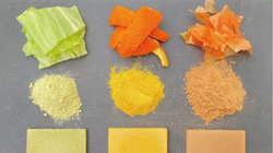 Vật liệu xây dựng được làm từ thực vật (Ảnh: CNET)