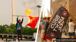 Phong trào Bird Aren't Real nổi lên khi người dân Mỹ cho rằng chính phủ đang sử dụng những con chim robot để theo dõi họ (Ảnh: Unilad)