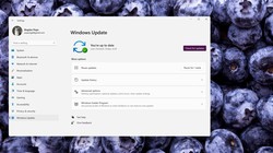 Bản cập nhật Windows 11 (Ảnh: Softpedia)