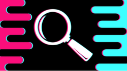 TikTok sẽ bị cấm hoàn toàn tại Mỹ do những lo ngại về an ninh quốc gia (Ảnh: Peta Pixel)