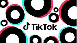 TikTok xác nhận rằng nhân viên của công ty có thể quyết định video nào sẽ được lên xu hướng (Ảnh: The Verge)