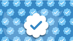 Elon Musk cho biết Twitter sẽ chỉ hiển thị các bài đăng của tài khoản có tích xanh (Ảnh: Tech Cruch)