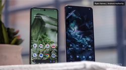 Pixel 8 Pro có thực sự khác biệt so với Pixel 8? (Ảnh: Android Authority)