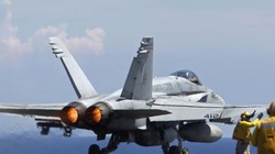 Chiếc Super Hornet F/A-18E của Mỹ đã bắn hạ Su-22 của quân đội Syria (Ảnh minh họa)