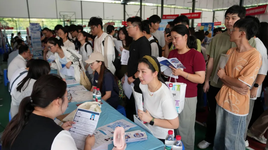 Hiện nay cơ hội việc làm cho các sinh viên tốt nghiệp ngành Máy tính vốn rất "hot" đã trở nên khó khăn không ngờ. Ảnh: Xinhua.