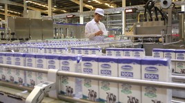 Đầu tư SCIC muốn bán toàn bộ cổ phiếu tại Vinamilk