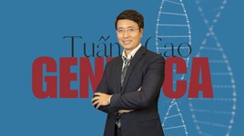 "Trí tuệ của Việt kiều có thể tạo ra tác động rất lớn nếu đặt đúng vào vị trí mà dân tộc cần"