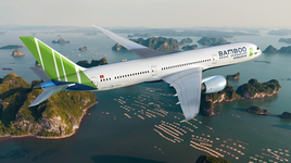 Ông Lê Thái Sâm cho Bamboo Airways vay hơn 7.700 tỉ đồng