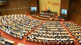 Đây là những dự án luật đã được chuẩn bị, thẩm tra và chỉnh lý công phu trên cơ sở ý kiến của chuyên gia, nhà khoa học, doanh nghiệp và các bộ, ngành, địa phương.