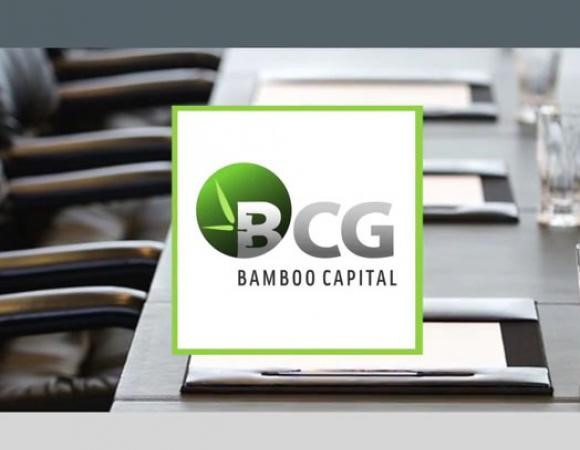 Bamboo Capital: Vừa tiêu hết gần 600 tỷ đồng tăng vốn, đã lại muốn tăng Ảnh minh họa. (Nguồn: Internet)
