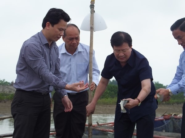 Video: Nhìn lại 84 ngày truy tìm nguyên nhân thảm họa cá chết Gần 100 nhà khoa học gồm các chuyên gia Đức, Israel, Nhật Bản cùng vào cuộc tìm nguyên nhân gây ra thảm họa môi trường ở Việt Nam