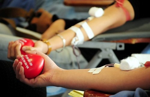 Tin tức 24h: Hà Nội khai trương Vườn ươm doanh nghiệp CNTT; Bộ Y tế muốn hiến máu thành nghĩa vụ; Bắt đầu xóa “di sản” của ông Obama Ảnh minh họa. Nguồn Internet