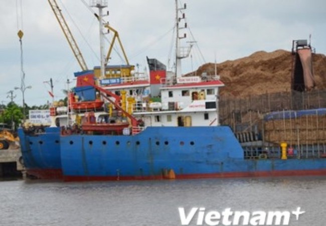Đình chỉ công tác lãnh đạo Cảng vụ Đường thủy nội địa Hải Phòng Tàu Hoàng Tuấn 28 vi phạm quy định an toàn hàng hải. (Ảnh: Hoàng Ngọc/Vietnam )