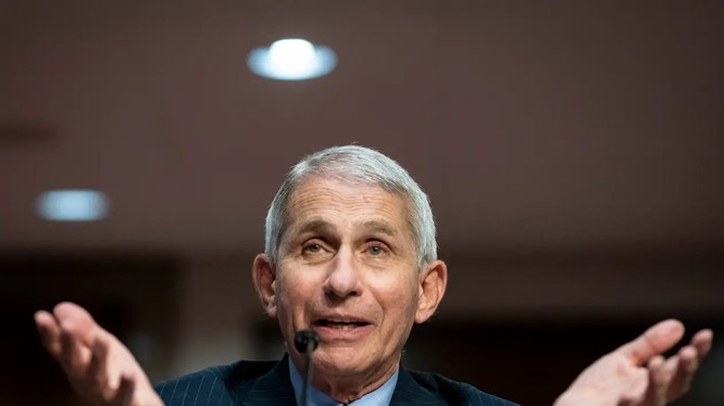 Tiến sĩ Anthony Fauci, giám đốc Viện Quốc gia về Dị ứng và Bệnh truyền nhiễm Hoa Kỳ (ảnh: Getty Images)