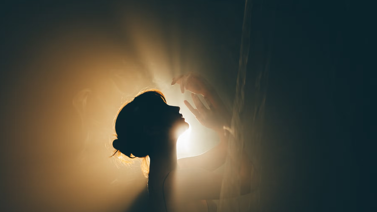 Các nhà khoa học tin rằng con người có thể kéo dài tuổi thọ nhờ vào nghiên cứu một loài động vật có vú sống ở Bắc Cực. Ảnh: Getty.