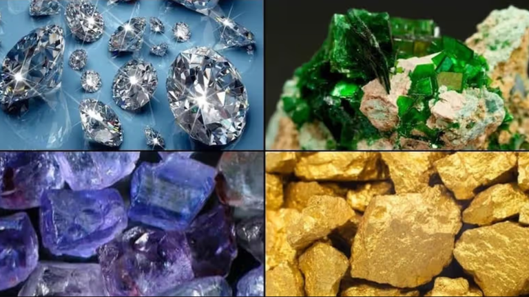 Theo dữ liệu do World Population Review tổng hợp, các quốc gia sau đây là 10 quốc gia châu Phi có mật độ và tính đa dạng tài nguyên thiên nhiên cao nhất. Ảnh: BI.