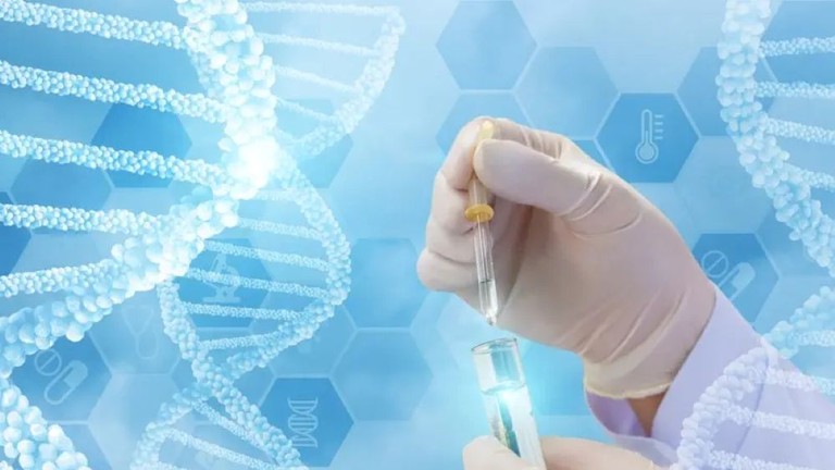 Sự cố di truyền trong vụ hiến tinh trùng mang gene hiếm TP53 đã gây nên hậu quả nghiêm trọng ở châu Âu. Ảnh: Worldjournal.