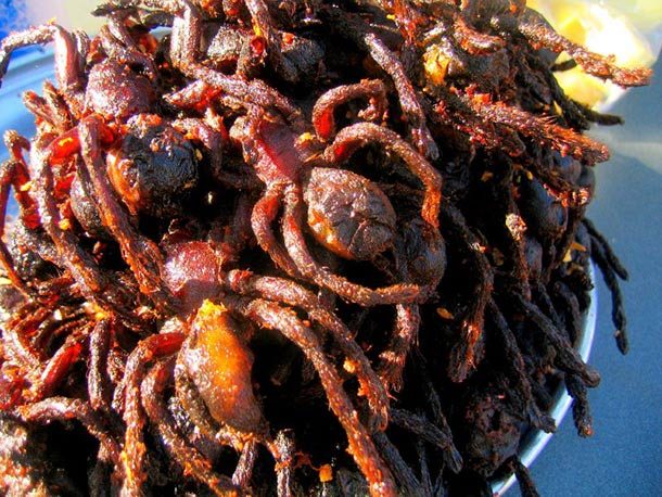 Trứng vịt lộn đứng đầu trong những món ăn kinh dị nhất thế giới - ảnh 3