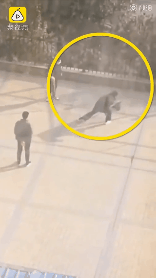 Chó nuôi làm thú cưng bị lôi ra đập chết (Ảnh Sina)