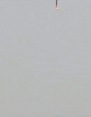 UAV của Azerbaijan bị Armenia bắn hạ (Ảnh; Sohu). UAV của Azerbaijan bị Armenia bắn hạ (Ảnh; Sohu).