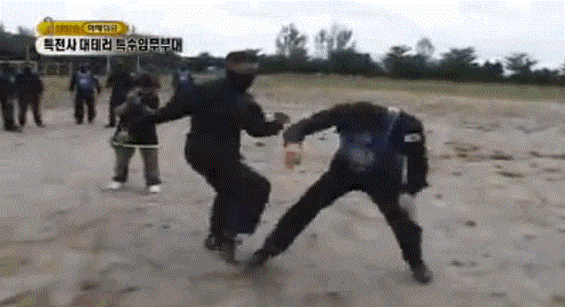 Những lực lượng uy mãnh của hải quân Hàn Quốc ảnh 9