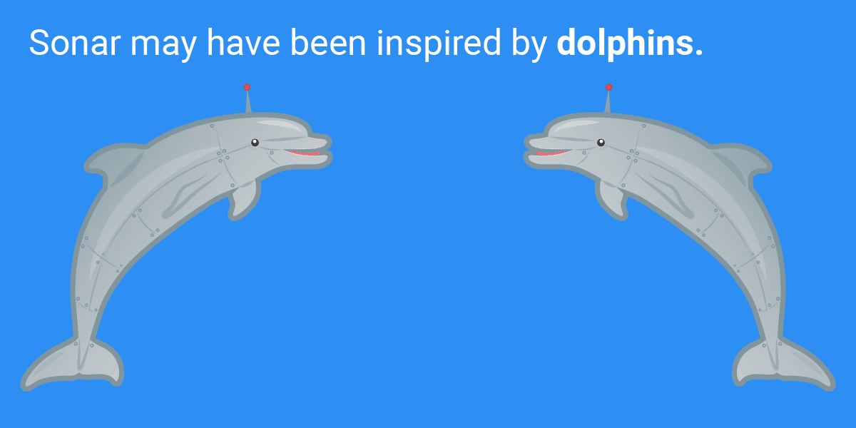 Những phát minh tuyệt vời loài người học lỏm từ thiên nhiên ảnh 3