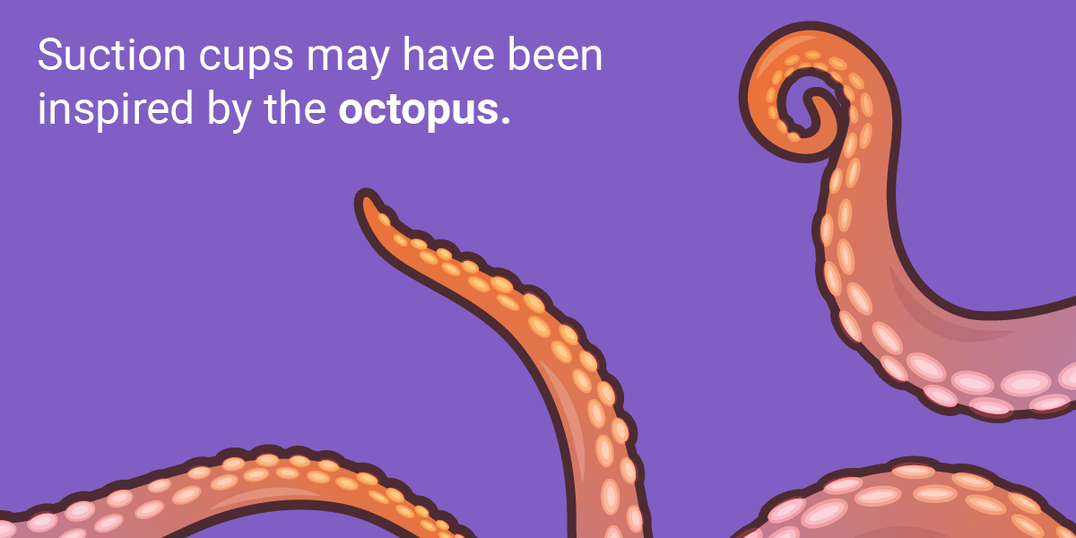 Những phát minh tuyệt vời loài người học lỏm từ thiên nhiên ảnh 5