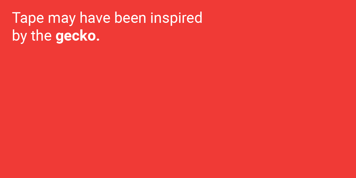 Những phát minh tuyệt vời loài người học lỏm từ thiên nhiên ảnh 9