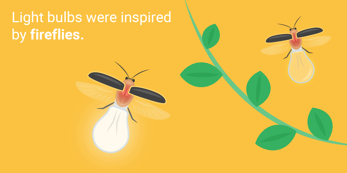 Những phát minh tuyệt vời loài người học lỏm từ thiên nhiên ảnh 11