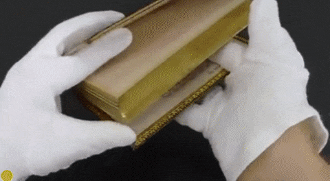 Ảnh: BrightSide Ảnh: BrightSide