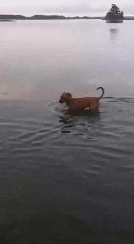 Ảnh: BrightSide Ảnh: BrightSide