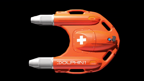 Robot Dolphin One. Ảnh: Sina