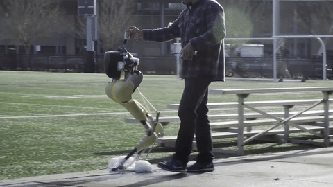 Hồi đầu năm nay, một nhóm các nhà nghiên cứu từ trường Đại học Bang Oregon đã giới thiệu một công nghệ robot vô cùng độc đáo có khả năng bắt chước lối đi của đà điểu để di chuyển một cách dễ dàng bằng 2 chân. 