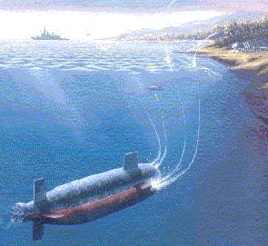 'Mãnh hổ' Kilo Việt Nam ra uy thế nào? - ảnh 2