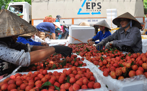 Căng thẳng thương mại có thể là một trong những nguyên nhân chính khiến cánh cửa vào thị trường Trung Quốc ngày càng hẹp. (Ảnh: Internet)