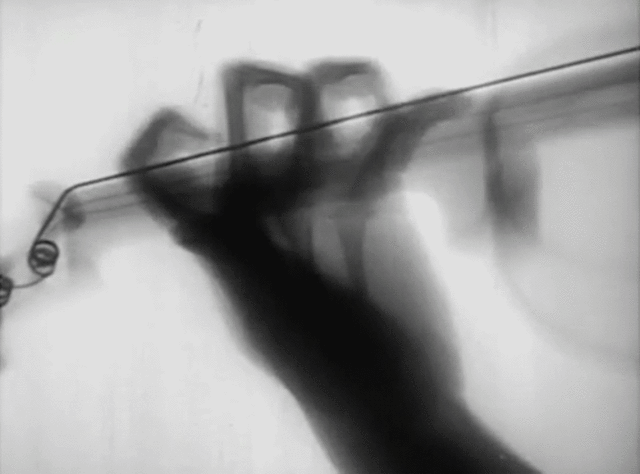 Ảnh: BrightSide Ảnh: BrightSide