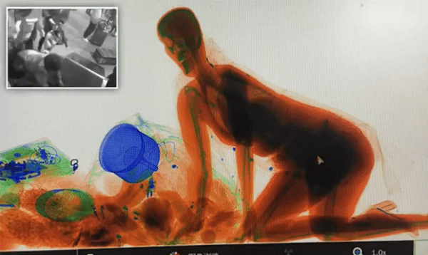 Ảnh: BrightSide Ảnh: BrightSide